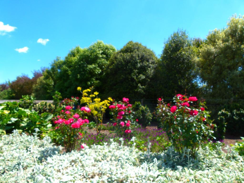 Hadleigh Boutique Lodge Tamahere Exterior foto